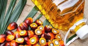 Palm Oil Mission